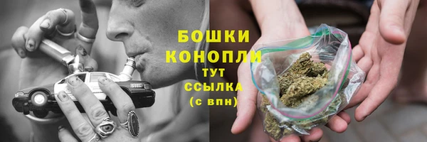 скорость Ельня