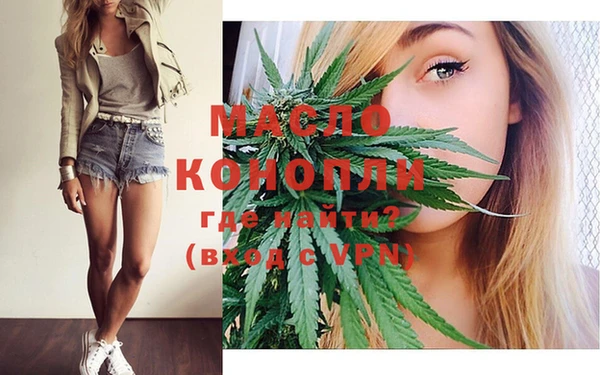 скорость Ельня