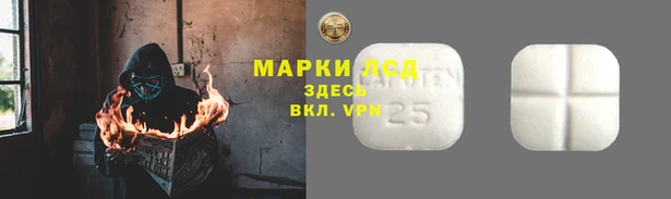 скорость Ельня