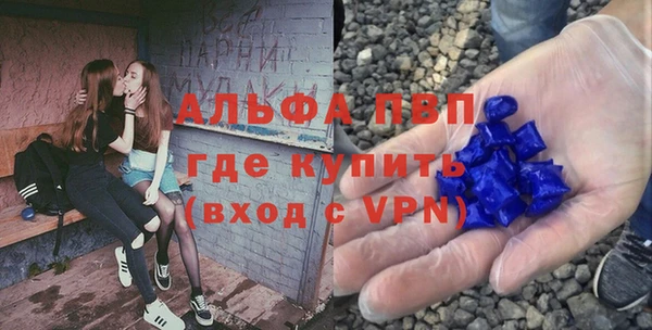 скорость Ельня