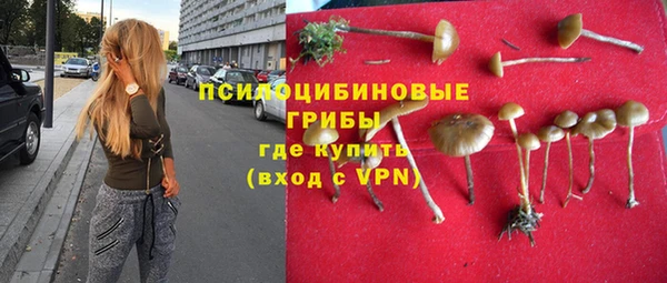 эйфоретик Болхов