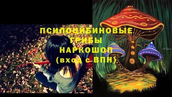 гашишное масло Елабуга