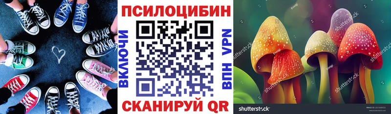 Галлюциногенные грибы Cubensis  Канск 
