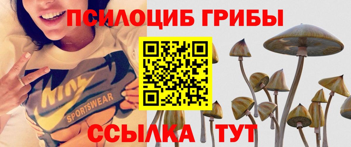 Галлюциногенные грибы MAGIC MUSHROOMS  Псилоцибиновые грибы MAGIC MUSHROOMS  Вход с VPN  магазин    Канск 